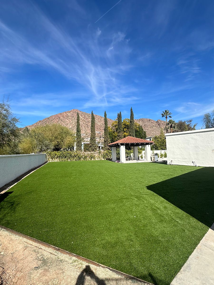 Arizona backyard with artificial turf installation